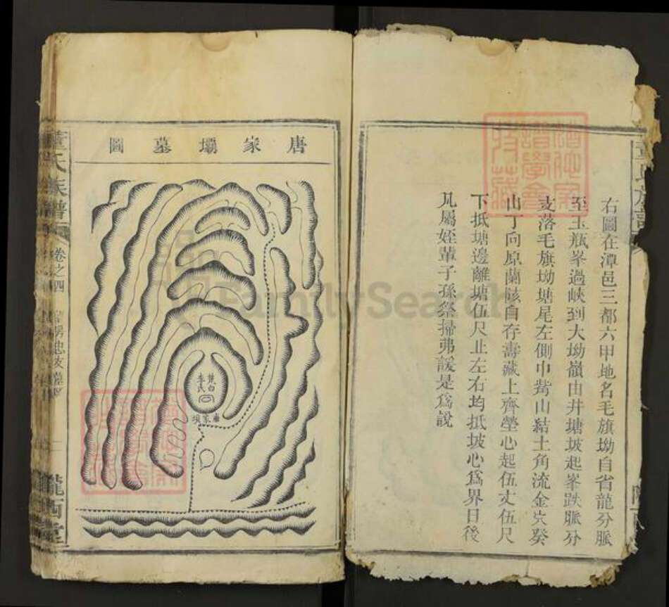 湖南省株洲市芦淞区董氏陇西堂族谱-董氏族谱.pdf电子版预览图2