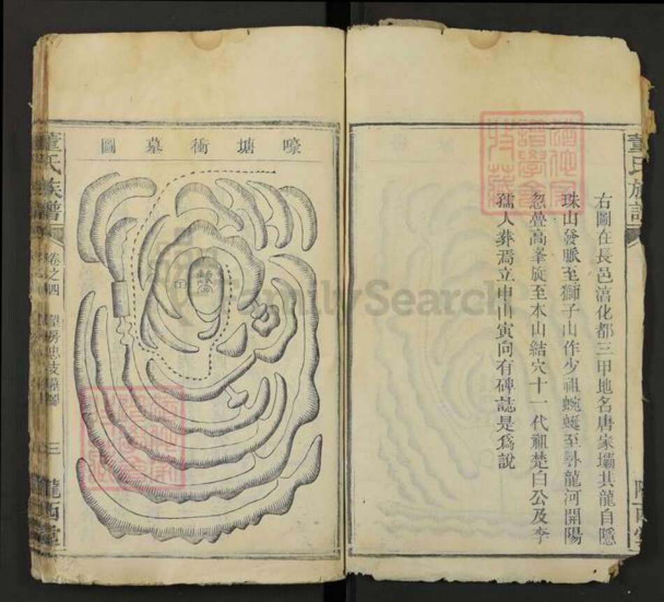 湖南省株洲市芦淞区董氏陇西堂族谱-董氏族谱.pdf电子版预览图3