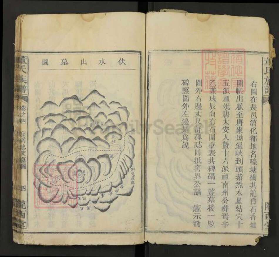 湖南省株洲市芦淞区董氏陇西堂族谱-董氏族谱.pdf电子版预览图4