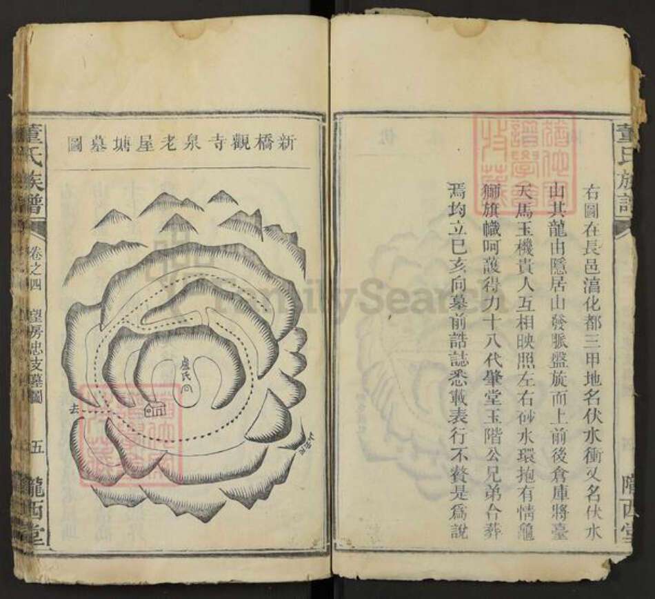 湖南省株洲市芦淞区董氏陇西堂族谱-董氏族谱.pdf电子版预览图5