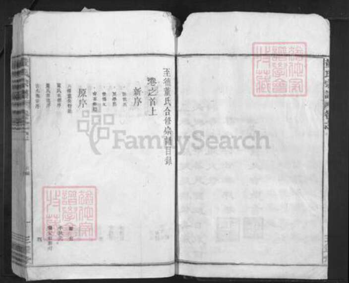 安徽省池州市东至县董氏三策堂族谱-董氏宗谱.pdf电子版预览图5