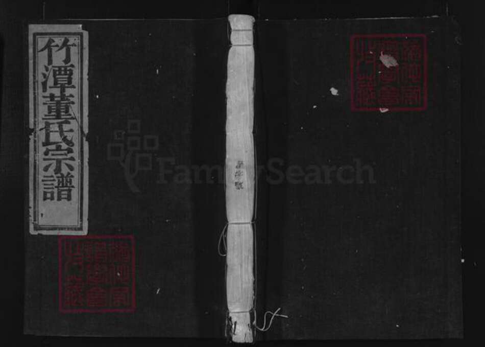 浙江省董氏族谱-竹潭董氏宗谱.pdf电子版缩略图