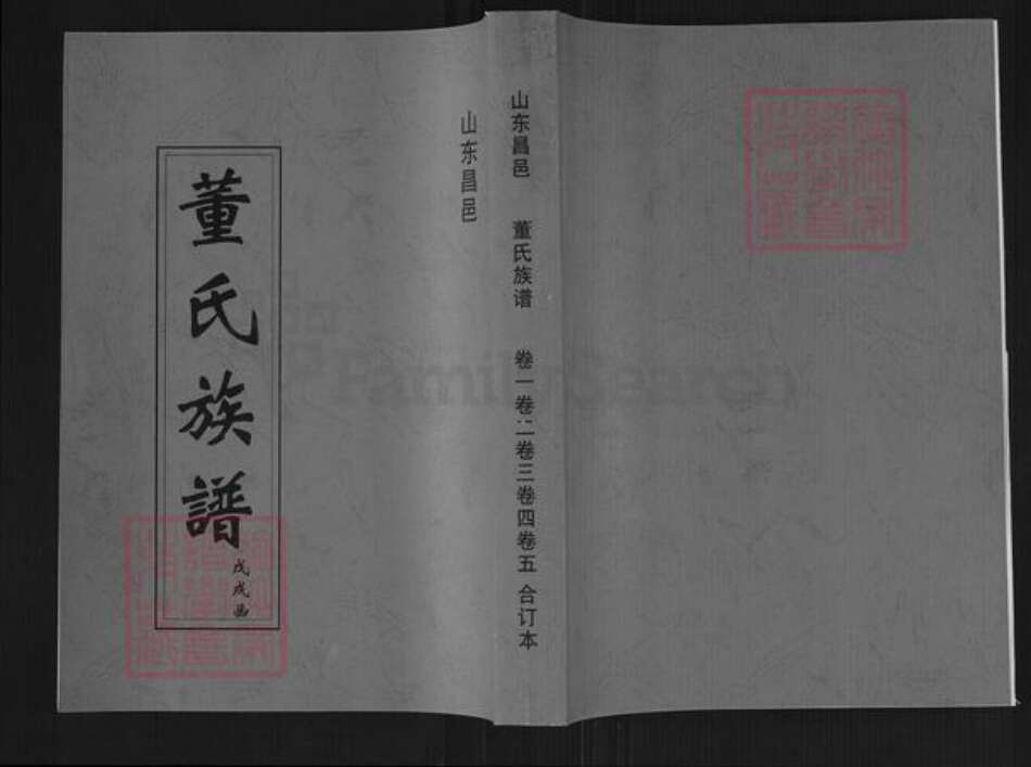 山东省潍坊市昌邑市奎聚街道董氏族谱-昌邑董氏族谱.pdf电子版缩略图