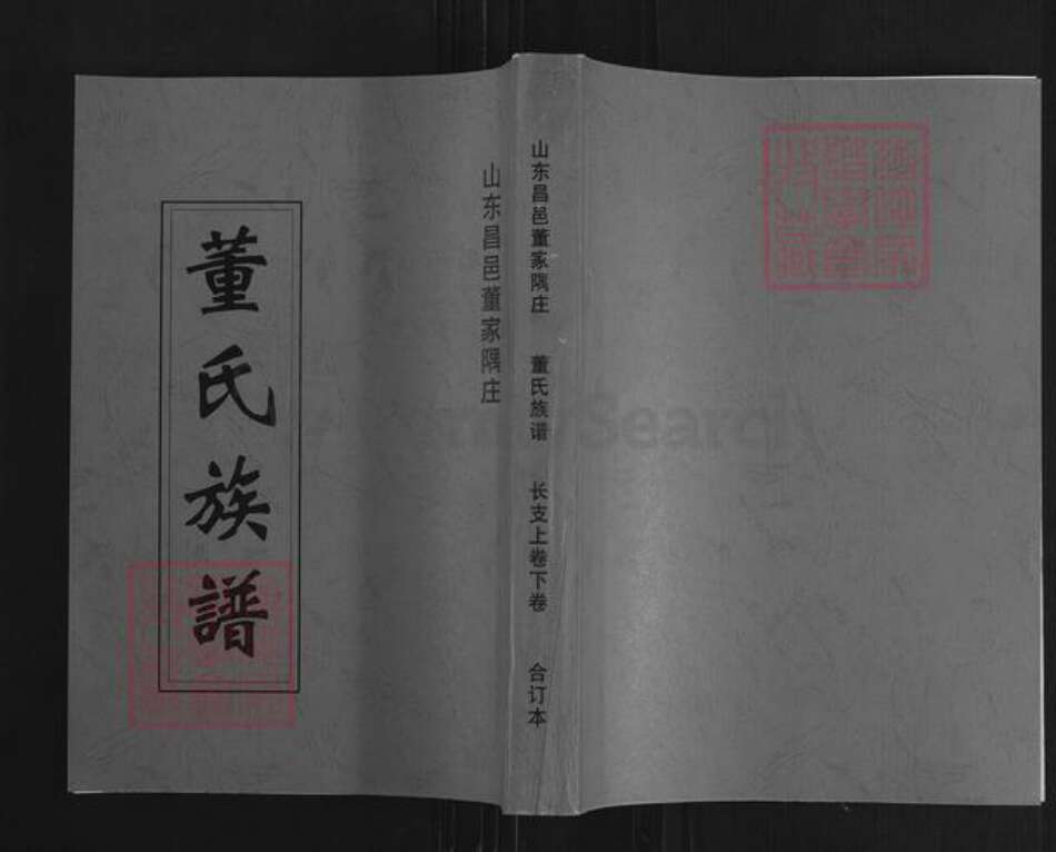 山东省潍坊市昌邑市围子街道董氏族谱-董氏族谱.pdf电子版缩略图