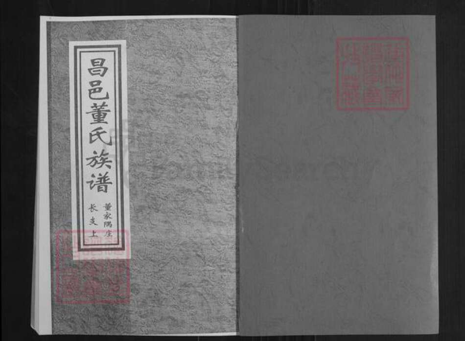 山东省潍坊市昌邑市围子街道董氏族谱-董氏族谱.pdf电子版预览图1