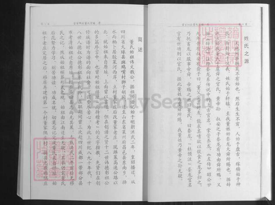 山东省潍坊市昌邑市围子街道董氏族谱-董氏族谱.pdf电子版预览图5