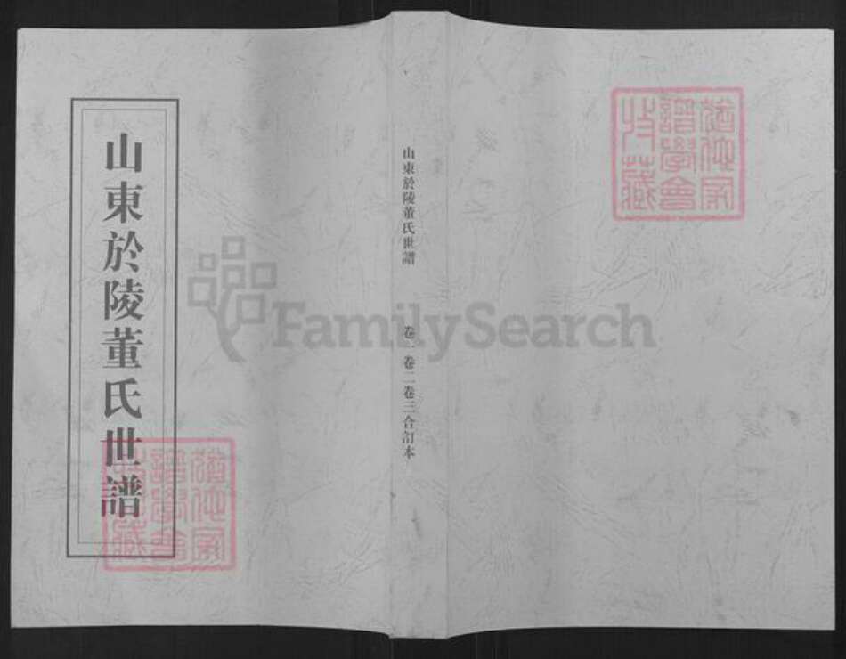 山东省滨州市邹平市长山镇董氏族谱-山东于陵董氏世谱.pdf电子版缩略图