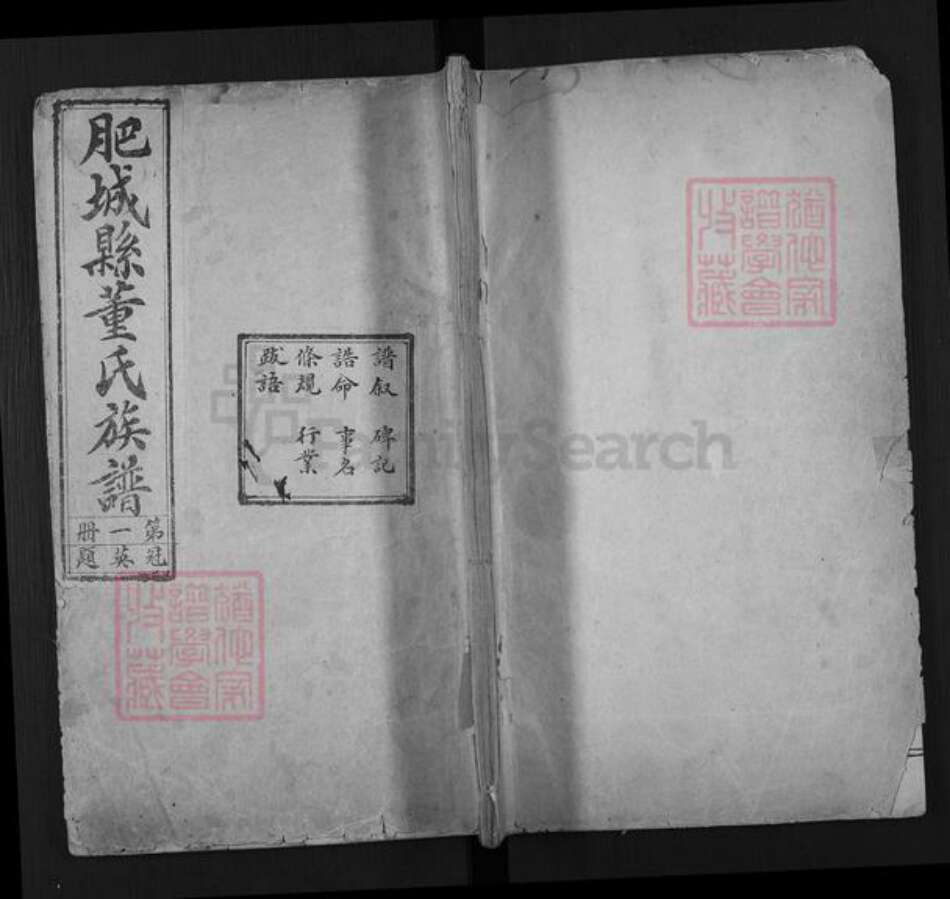 山东省泰安市肥城市董氏族谱-肥城县董氏族谱.pdf电子版缩略图