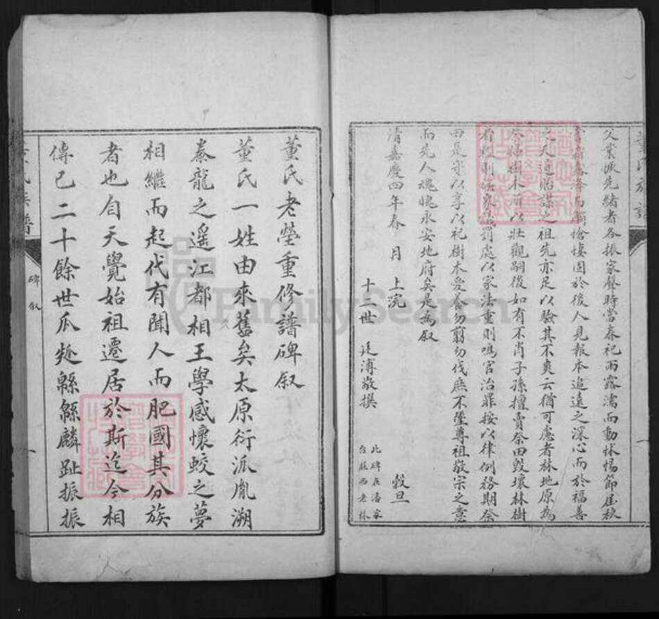 山东省泰安市肥城市董氏族谱-肥城县董氏族谱.pdf电子版预览图3