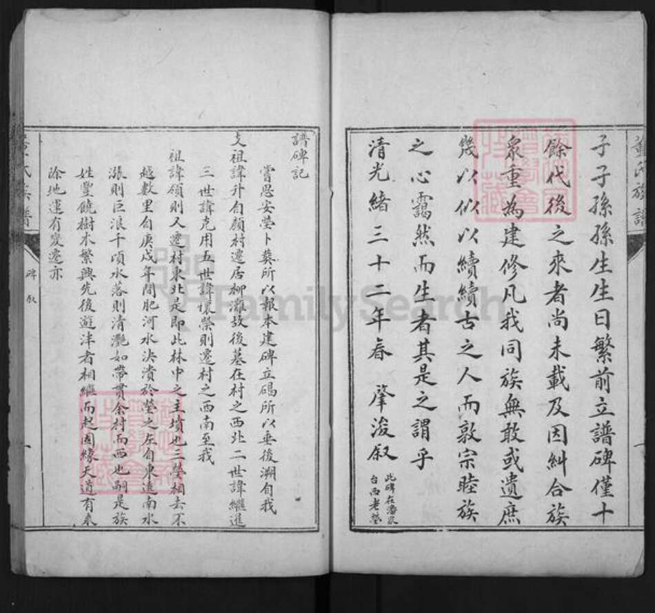 山东省泰安市肥城市董氏族谱-肥城县董氏族谱.pdf电子版预览图4