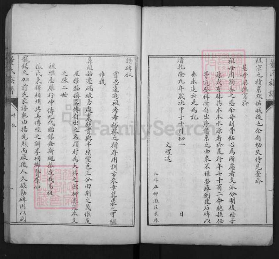 山东省泰安市肥城市董氏族谱-肥城县董氏族谱.pdf电子版预览图5