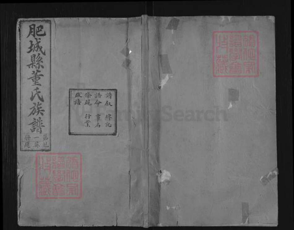 山东省泰安市肥城市董氏族谱-肥城县董氏族谱.pdf电子版缩略图