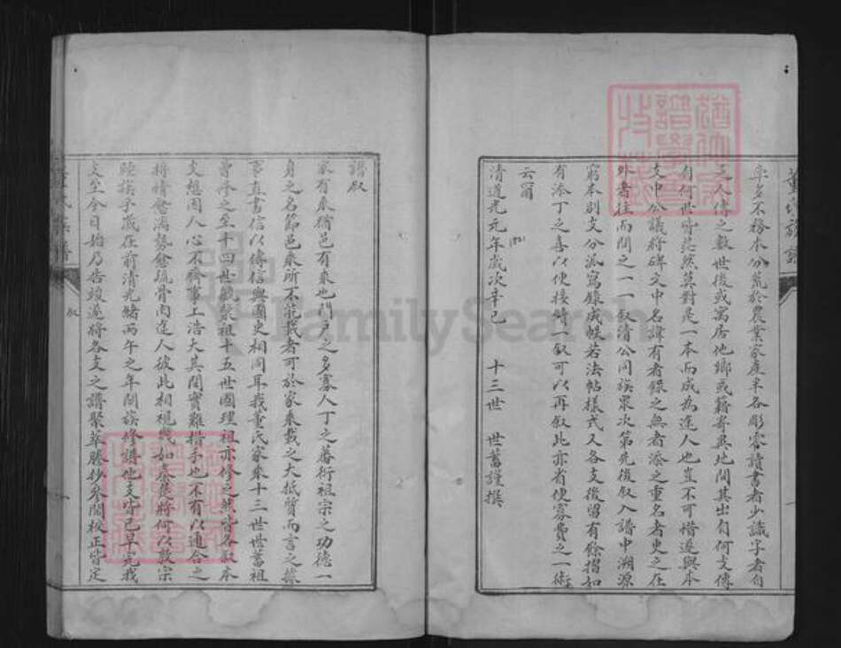 山东省泰安市肥城市董氏族谱-肥城县董氏族谱.pdf电子版预览图2