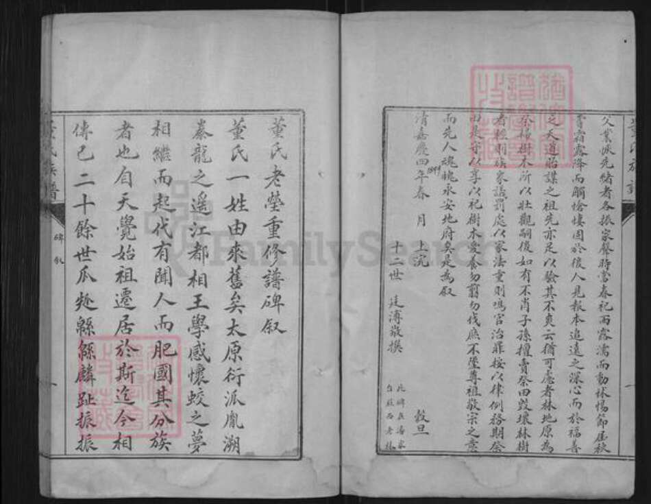 山东省泰安市肥城市董氏族谱-肥城县董氏族谱.pdf电子版预览图4