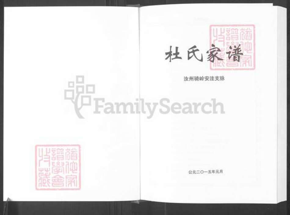 河南省平顶山汝州市杜氏族谱-杜氏家谱.pdf电子版预览图1