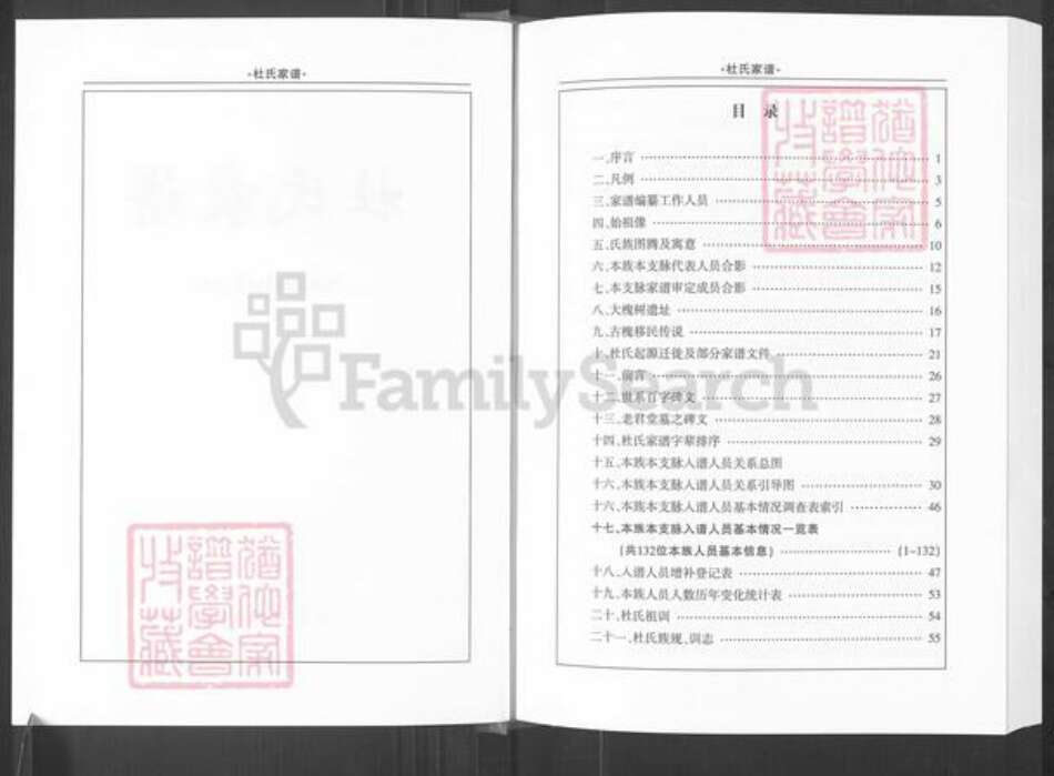 河南省平顶山汝州市杜氏族谱-杜氏家谱.pdf电子版预览图2