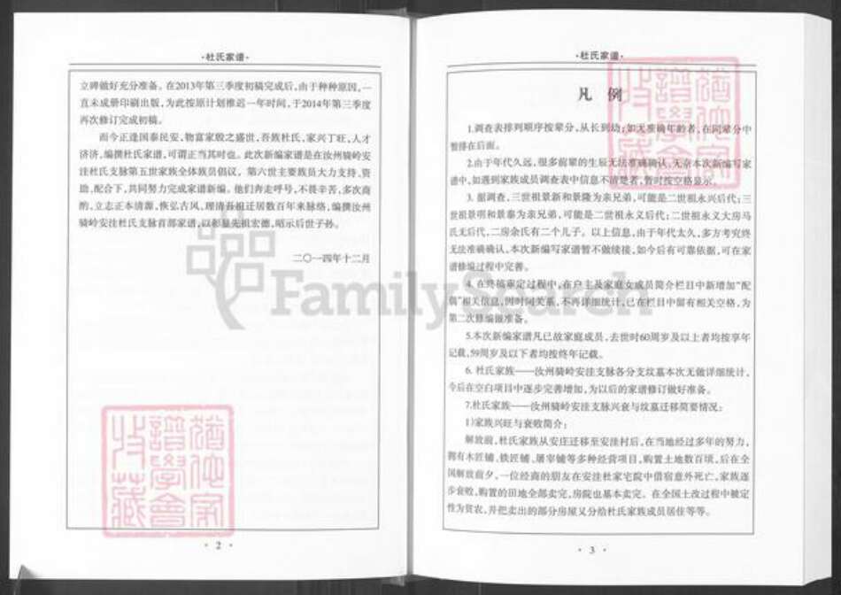 河南省平顶山汝州市杜氏族谱-杜氏家谱.pdf电子版预览图4