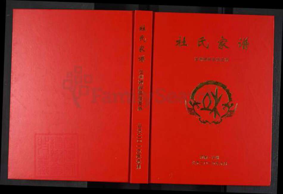河南省平顶山汝州市骑岭乡杜氏族谱-杜氏家谱.汝州骑岭安洼支系.pdf电子版缩略图