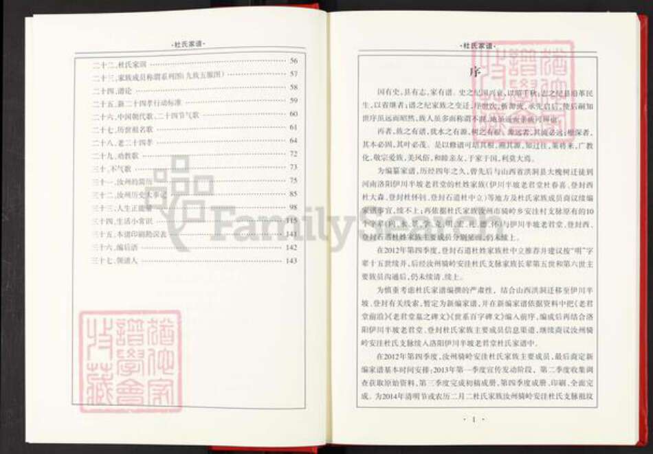 河南省平顶山汝州市骑岭乡杜氏族谱-杜氏家谱.汝州骑岭安洼支系.pdf电子版预览图4