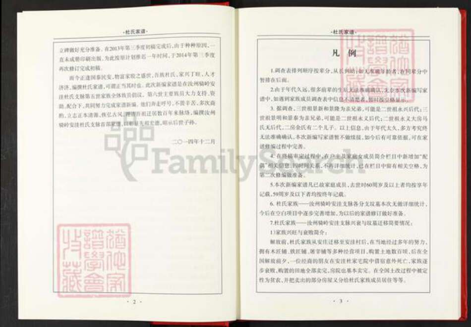 河南省平顶山汝州市骑岭乡杜氏族谱-杜氏家谱.汝州骑岭安洼支系.pdf电子版预览图5