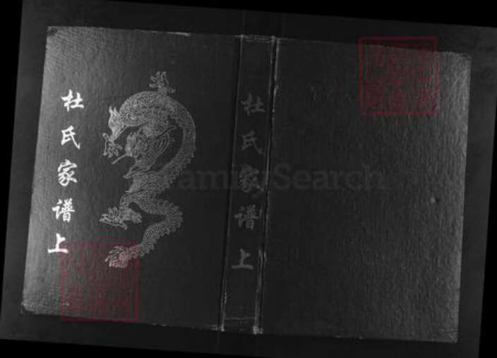 贵州省毕节市织金县以那镇杜氏族谱-杜氏家谱.pdf电子版缩略图