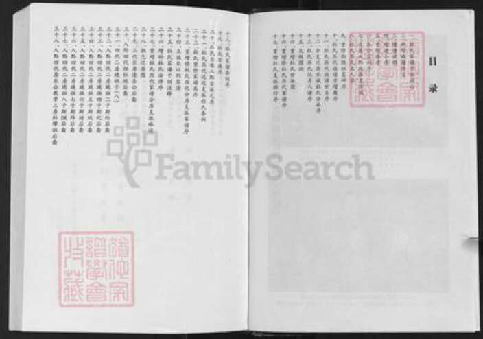 贵州省毕节市织金县以那镇杜氏族谱-杜氏家谱.pdf电子版预览图3