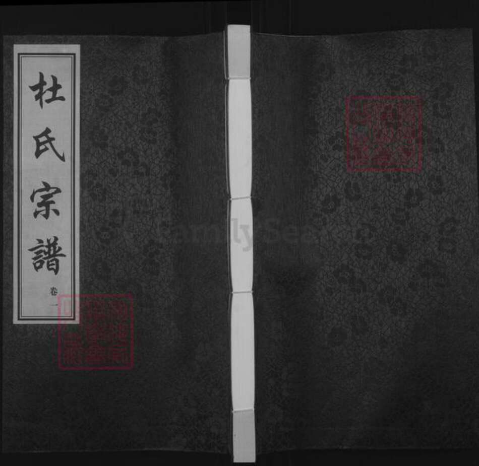 江苏省常州市武进县洛阳镇杜氏振德堂族谱-杜氏宗谱.pdf电子版缩略图