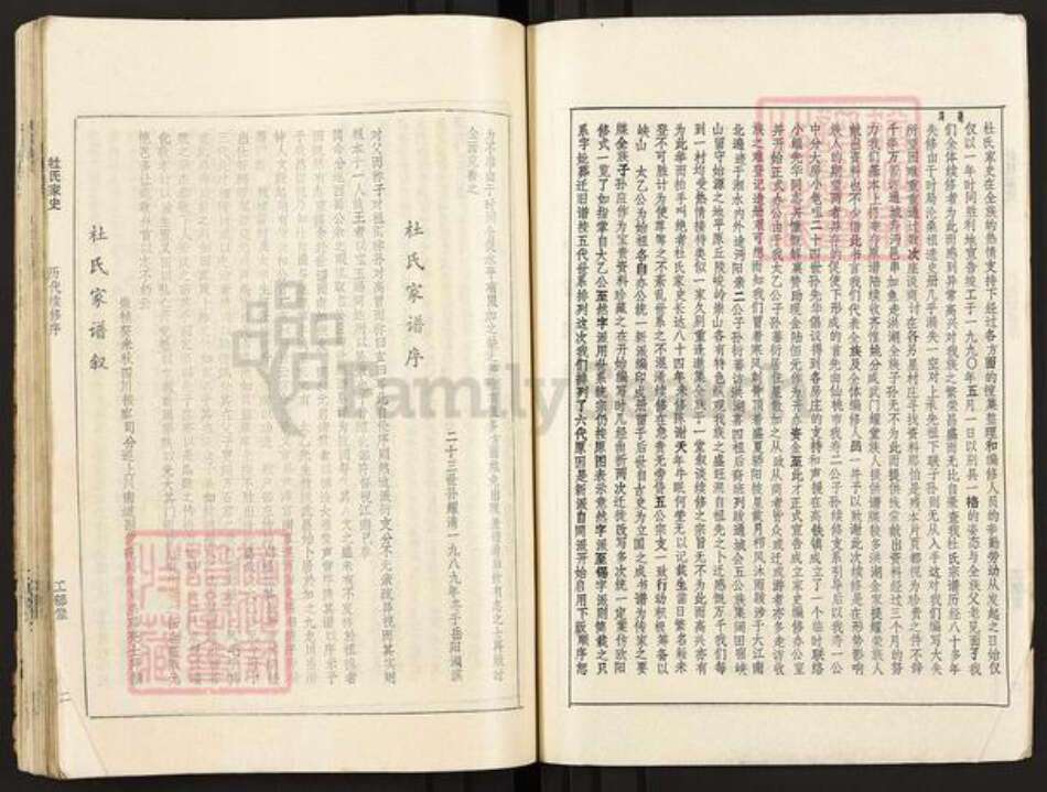 湖北省武汉市武昌区杜氏工部堂族谱-杜氏家史.pdf电子版预览图2