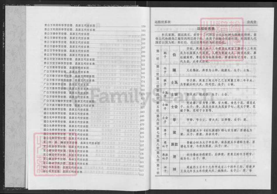 湖北省咸宁市通城县杜氏京兆堂族谱-杜氏宗谱.pdf电子版预览图3