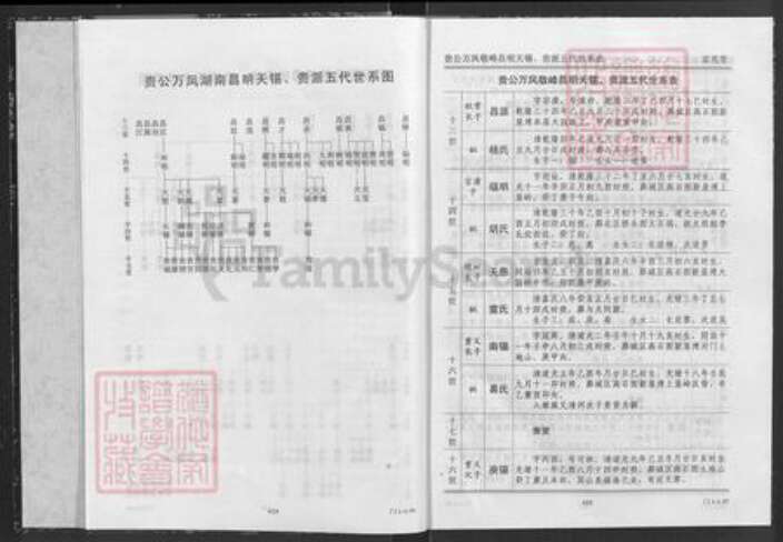 湖北省咸宁市通城县隽水镇杜氏京兆堂族谱-杜氏宗谱.pdf电子版预览图4