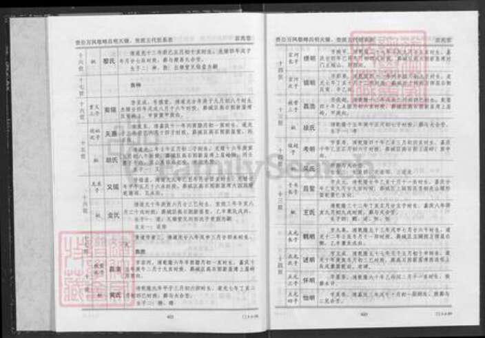 湖北省咸宁市通城县隽水镇杜氏京兆堂族谱-杜氏宗谱.pdf电子版预览图5