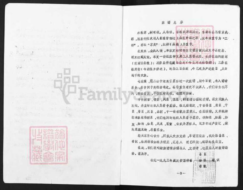 江苏省淮安市清江浦区盐河镇杜氏族谱-杜氏宗谱.pdf电子版预览图4