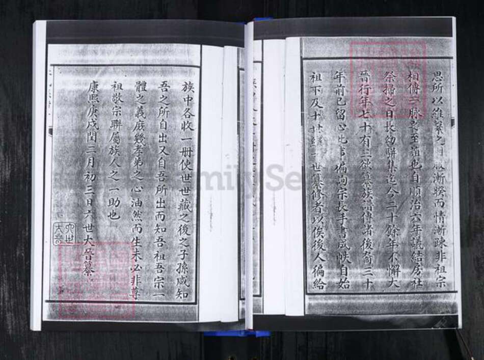 山东省青岛市即墨区杜氏族谱-杜氏族谱.pdf电子版预览图4