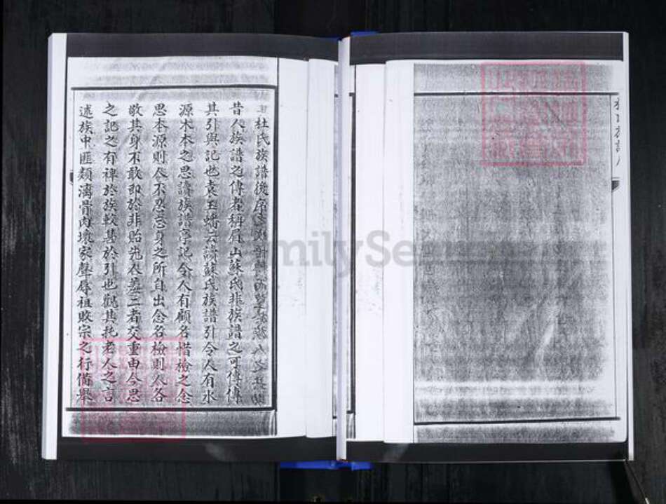 山东省青岛市即墨区杜氏族谱-杜氏族谱.pdf电子版预览图5