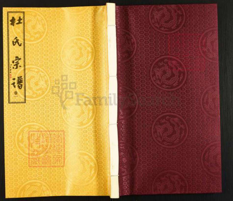 江苏省无锡市惠山区洛社街道杜氏务本堂族谱-杜氏宗谱.pdf电子版缩略图