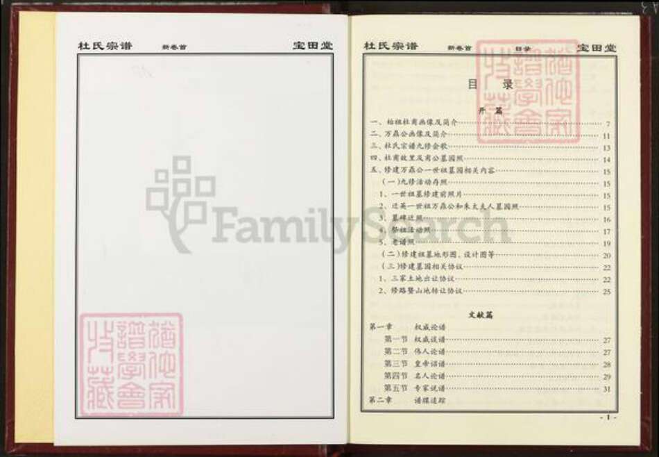 湖北省黄冈市英山县杜氏宝田堂族谱-杜氏宗谱.pdf电子版预览图2