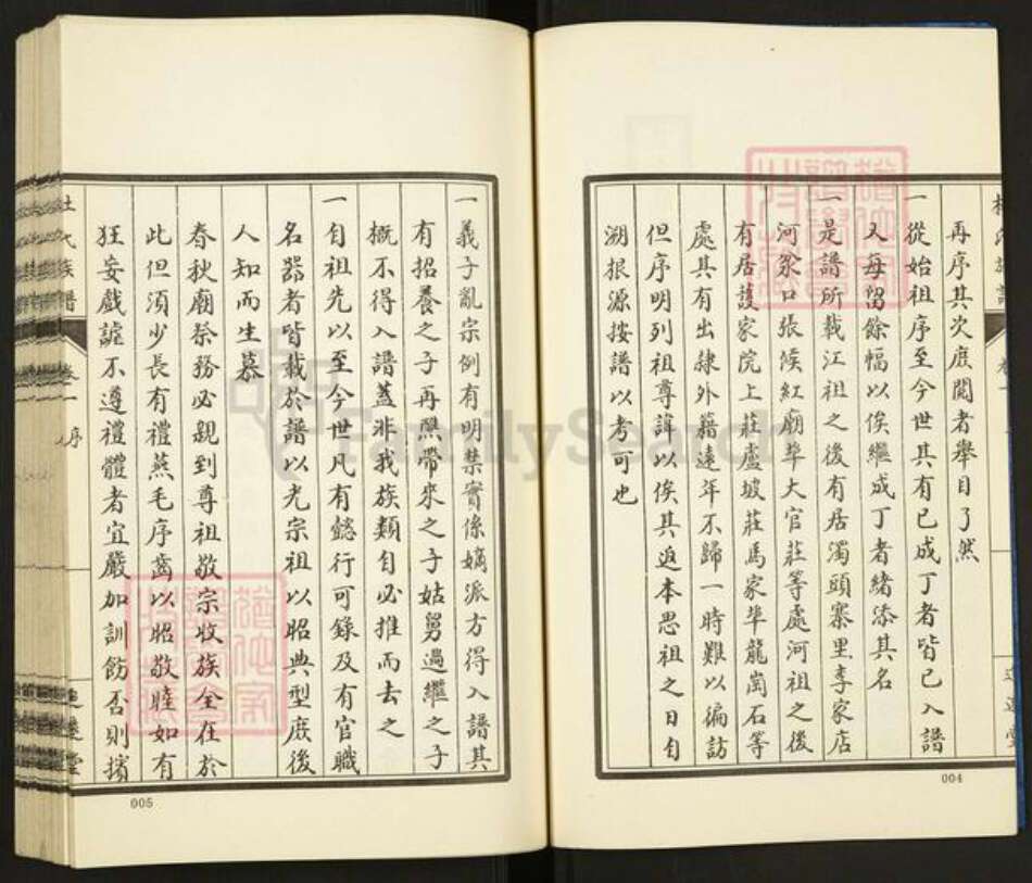 山东省泰安市肥城市汶阳镇杜氏追逺堂族谱-杜氏族谱.pdf电子版预览图3