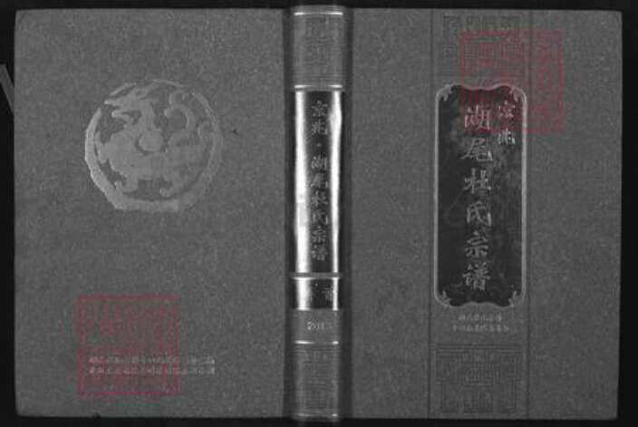 江西省南昌市安义县杜氏浣花堂族谱-京兆湖尾杜氏宗谱.pdf电子版缩略图