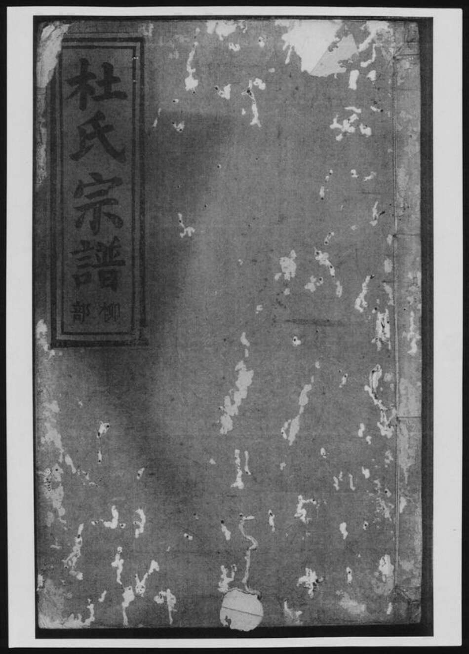 浙江省丽水市杜氏族谱-杜氏宗谱[总卷数不详].pdf电子版缩略图