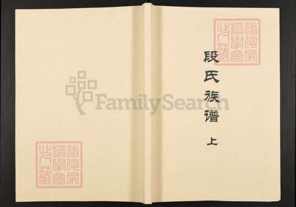 四川省广安市广安区段氏族谱-段氏族谱.四川省蓬安广安营山渠县支系.pdf电子版缩略图