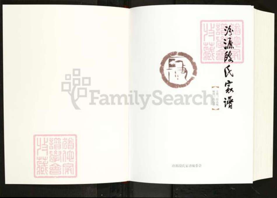 山西省忻州市静乐县娑婆乡段氏族谱-汾源段氏家谱.pdf电子版预览图1