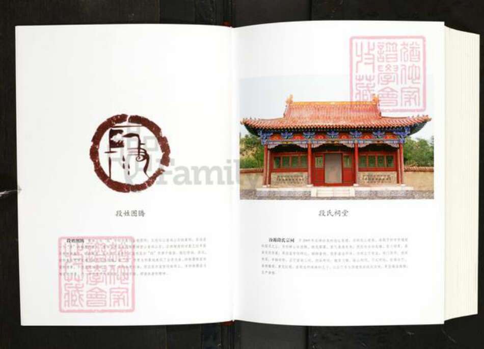 山西省忻州市静乐县娑婆乡段氏族谱-汾源段氏家谱.pdf电子版预览图3