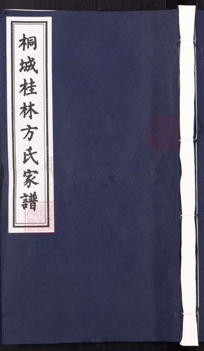 安徽省安庆市桐城市方氏族谱-桐城桂林方氏家谱[66卷首1卷].pdf电子版缩略图