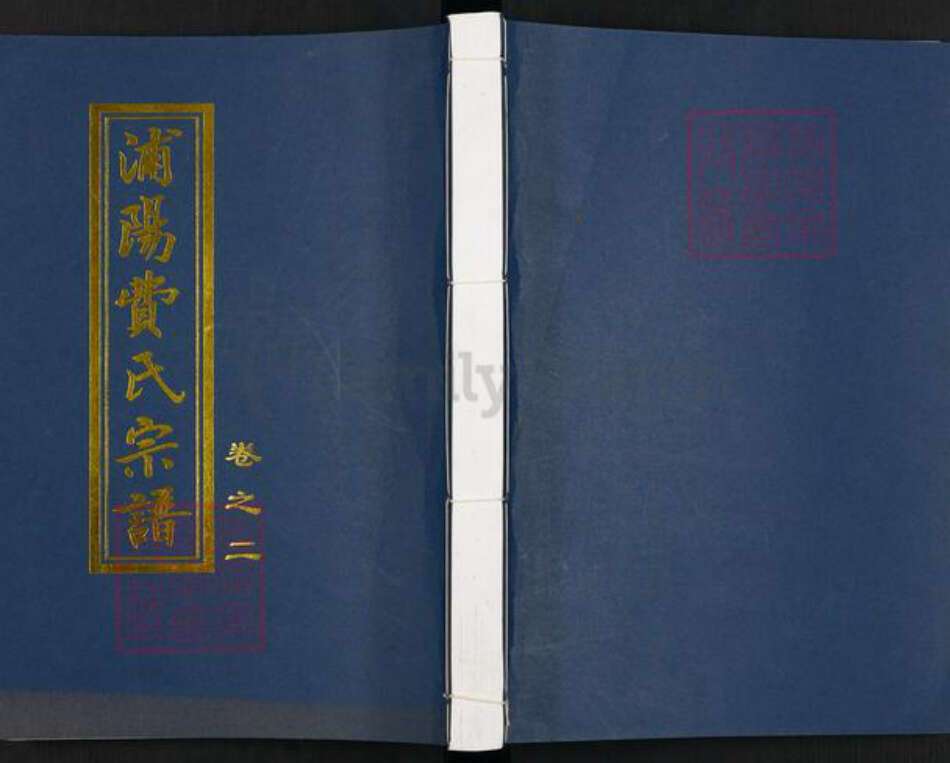 浙江省金华市浦江县费氏族谱-浦阳石桥费氏宗谱.pdf电子版缩略图