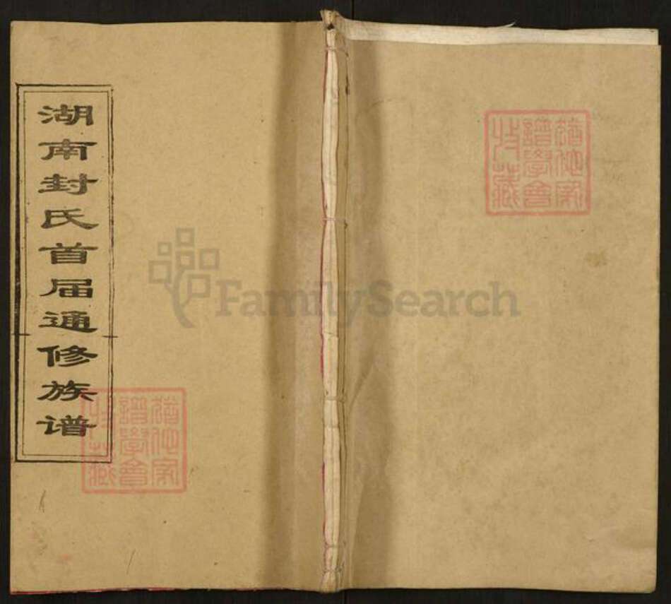 湖南省邵阳市双清区封氏乐庆堂族谱-湖南封氏首届通修族谱.pdf电子版缩略图