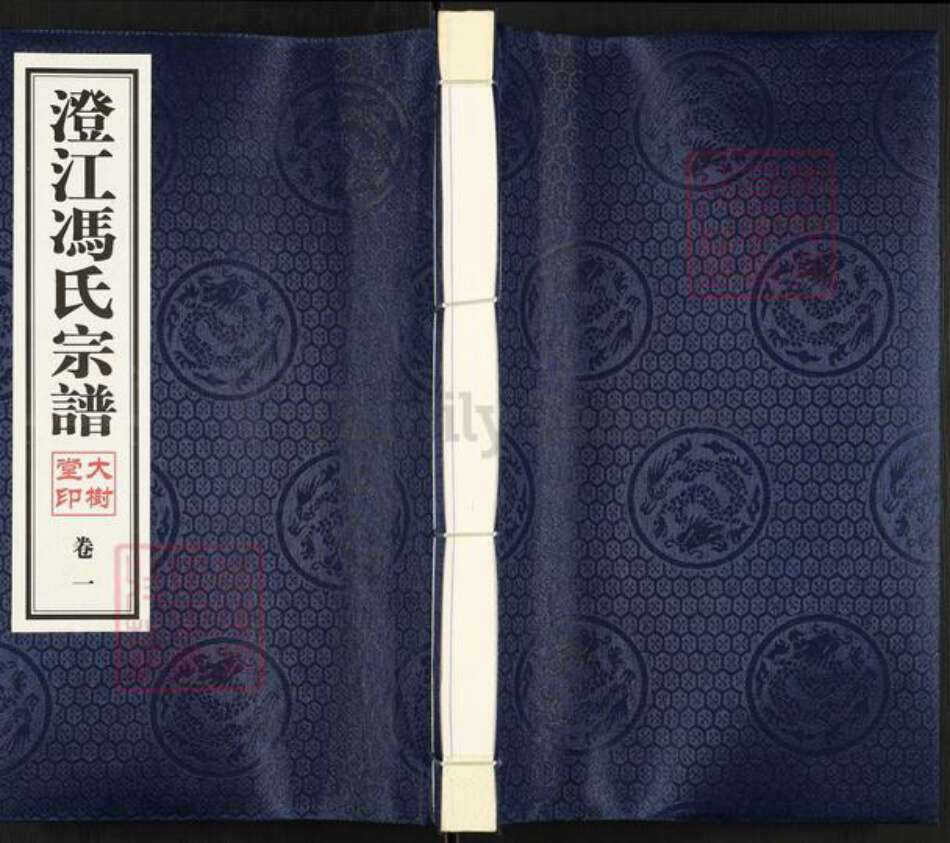 江苏省无锡市江阴市青阳镇冯氏大树堂族谱-澄江冯氏宗谱.pdf电子版缩略图