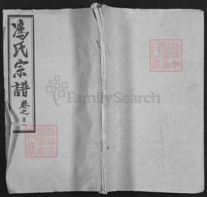 湖北省武汉市黄陂区冯氏大树堂族谱-冯氏宗谱.pdf电子版缩略图