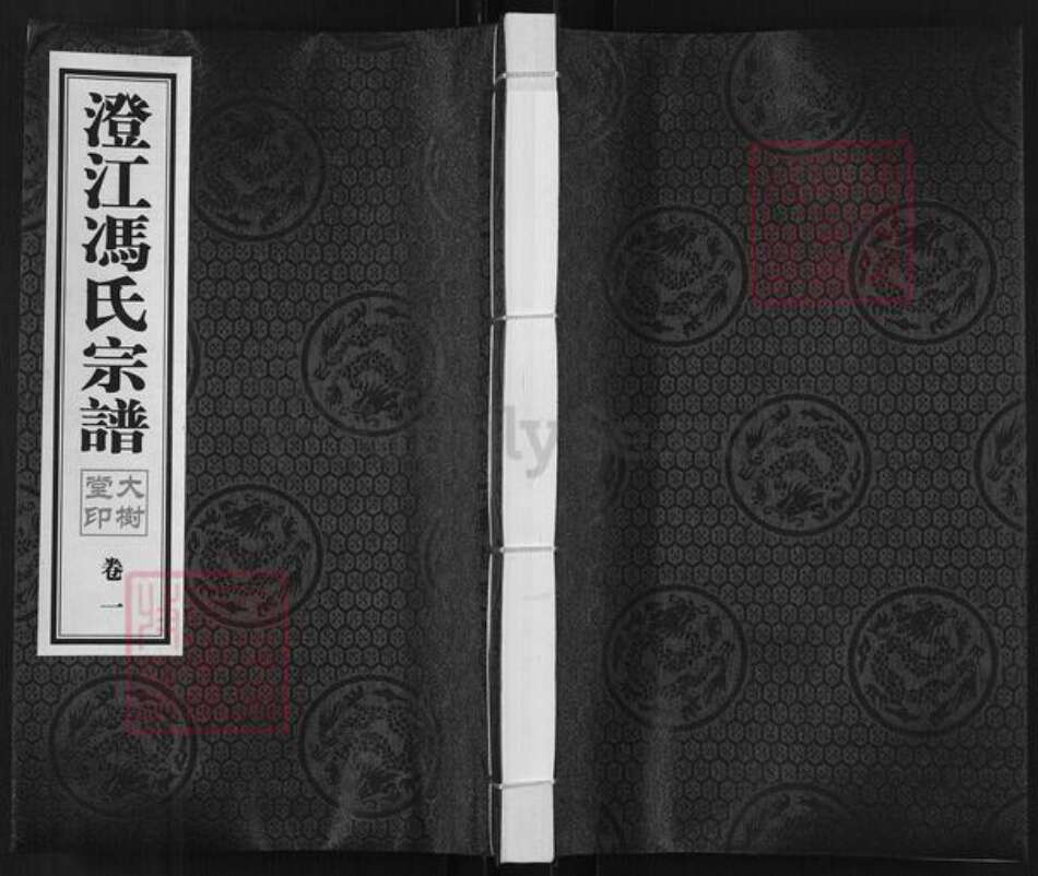 江苏省无锡市江阴市青阳镇冯氏大树堂族谱-澄江冯氏族谱.南闸支.pdf电子版缩略图