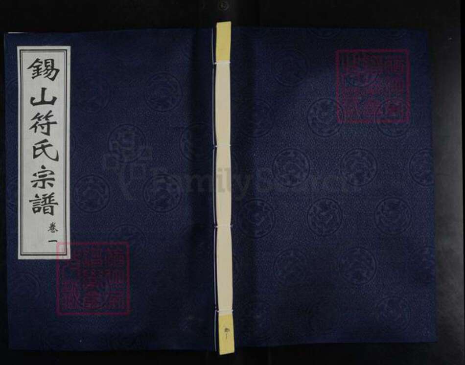 江苏省无锡市锡山区符氏贻谷堂族谱-锡山符氏宗谱.pdf电子版缩略图