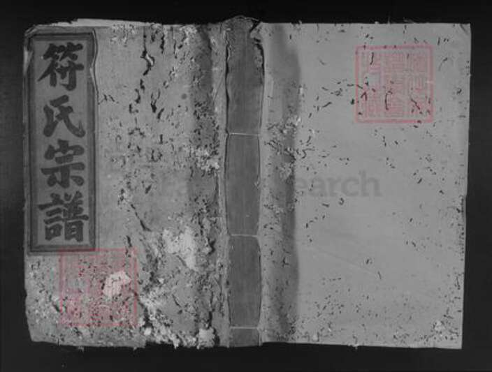 江西省抚州市南丰县符氏族谱-符氏宗谱.pdf电子版缩略图